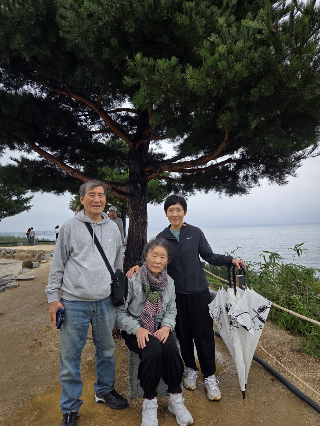 다리아프지만해냈어