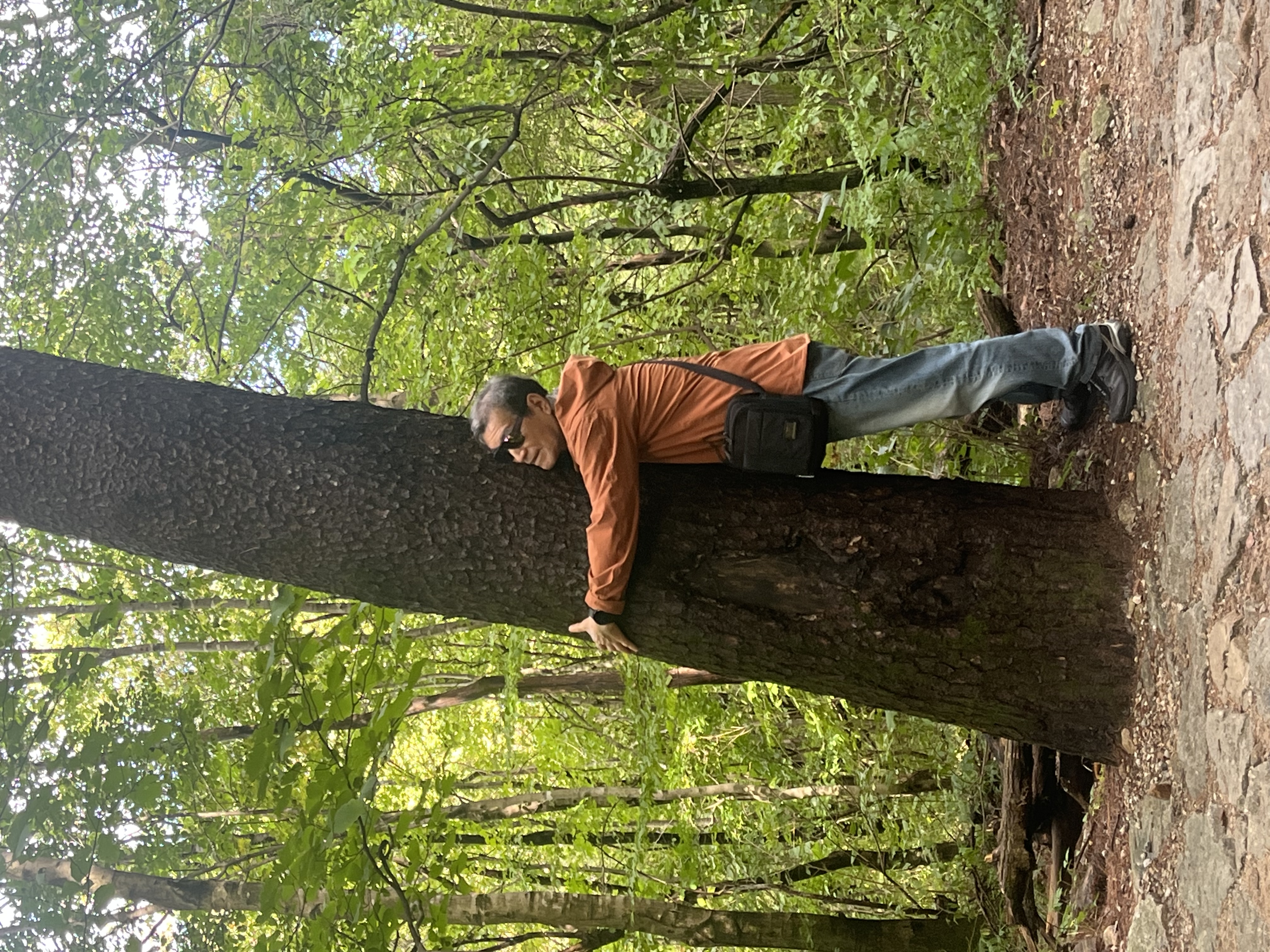 비룡폭포길나무허그