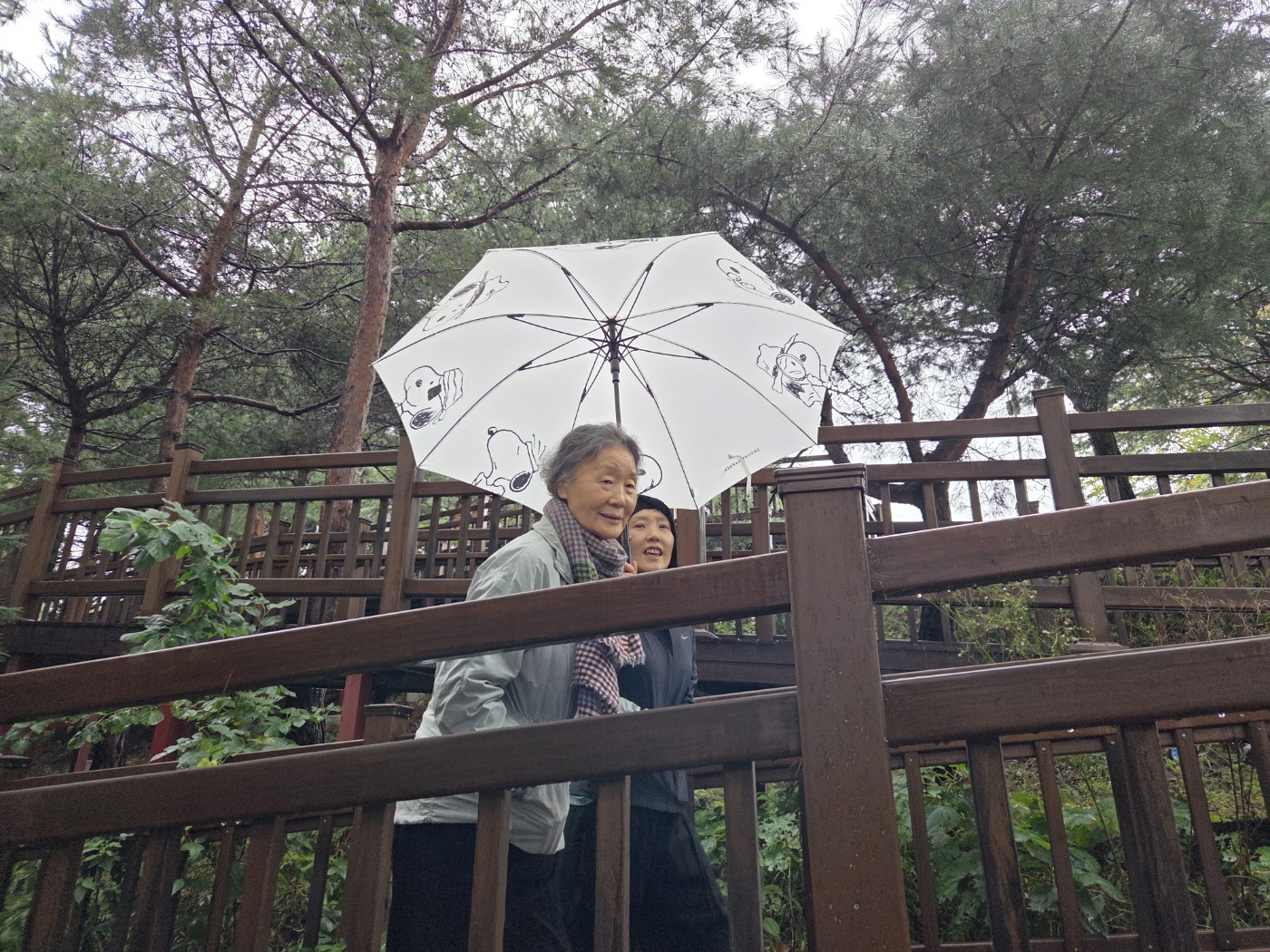 하늘로오르는계단